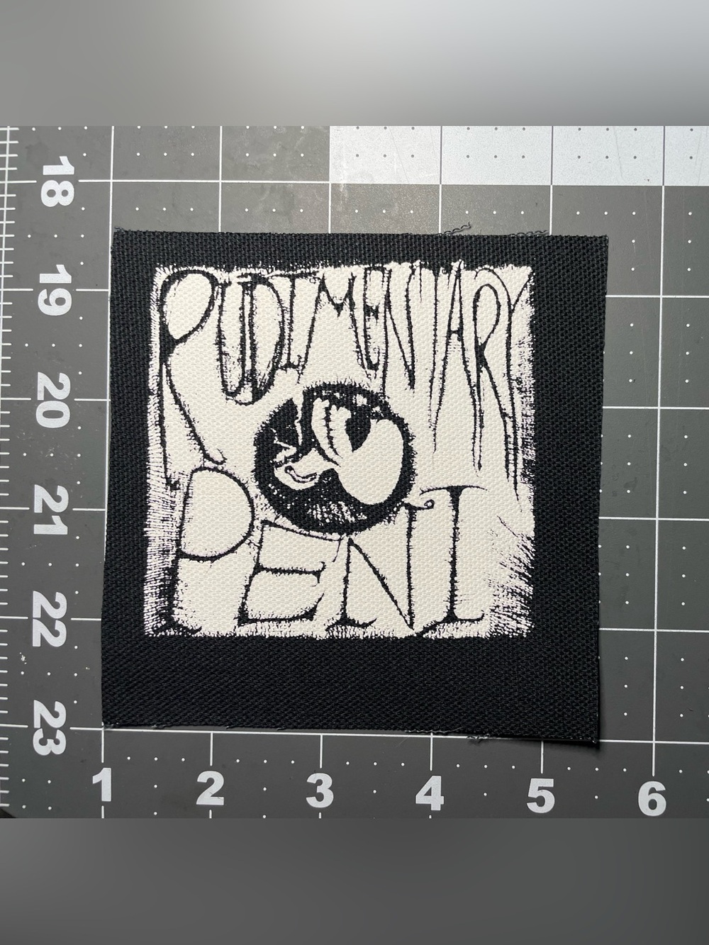 Rudimentary peni canvas patch